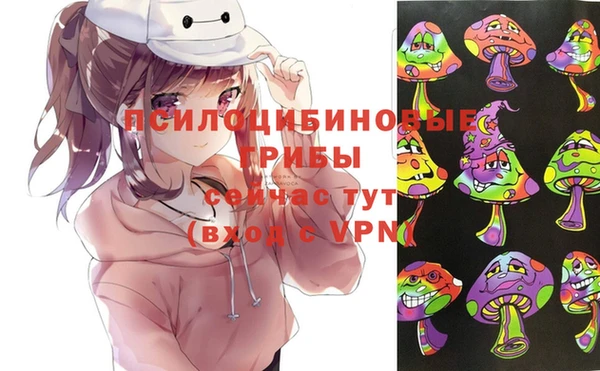 мяу мяу мука Заводоуковск