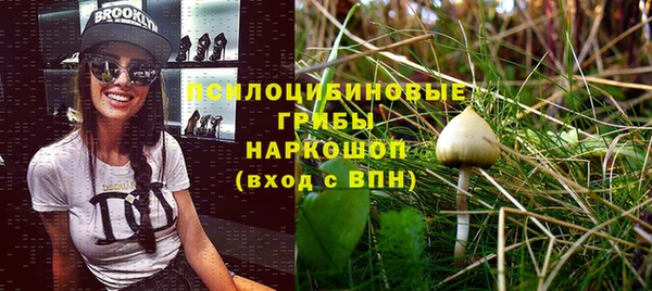 mdpv Заволжск