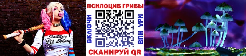 Галлюциногенные грибы Psilocybine cubensis  Купить закладки  Пойковский 